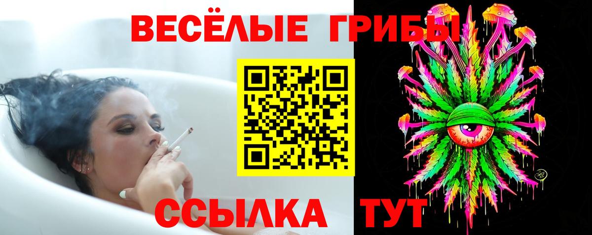 Галлюциногенные грибы мицелий  Вход с VPN  Саров 